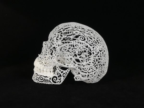 Crâne 3D print (profil)
