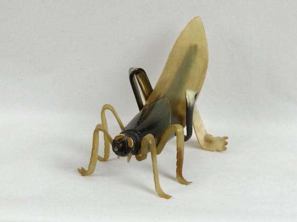 Insecte en corne