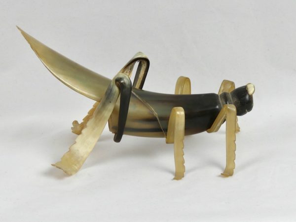 Insecte en corne (profil)