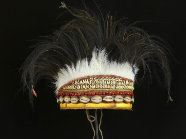 Coiffe en plumes Papou
