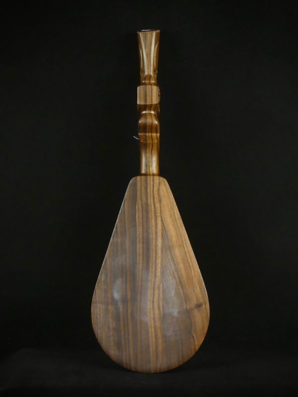 Pagaie polynésienne (dos)
