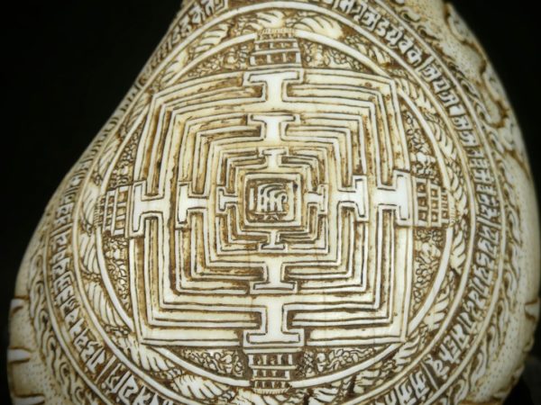 Conque gravée (détail dos)