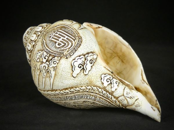 Conque gravée (3/4)