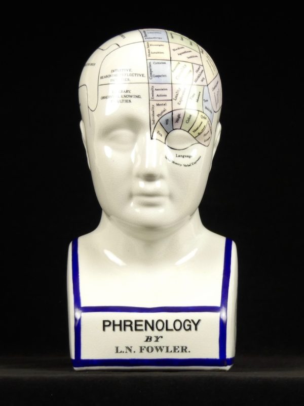 Buste et tête de phrénologie