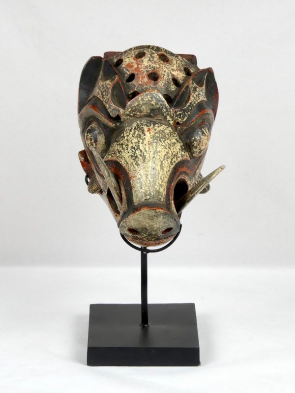 Tête de cochon sauvage (face)
