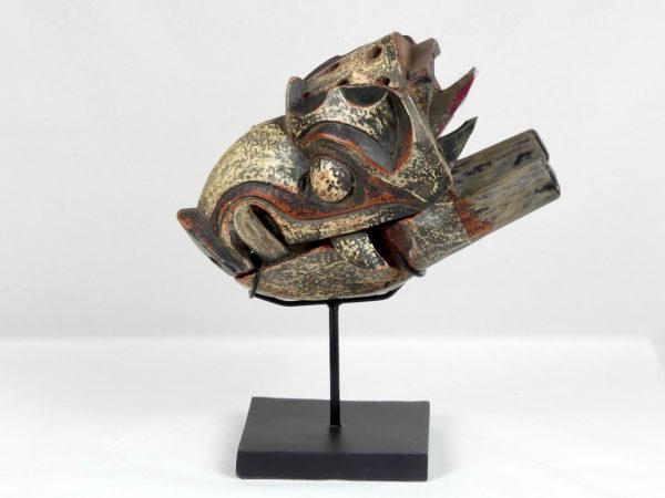 Tête de cochon sauvage (profil)