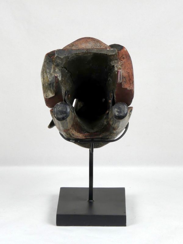 Tête de cochon sauvage (dos)