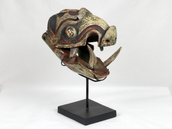 Tête de cochon sauvage (3/4 ouvert)