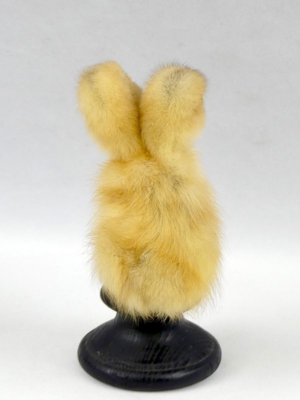 Chimère caneton (dos)