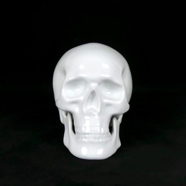 Crâne en porcelaine (face)