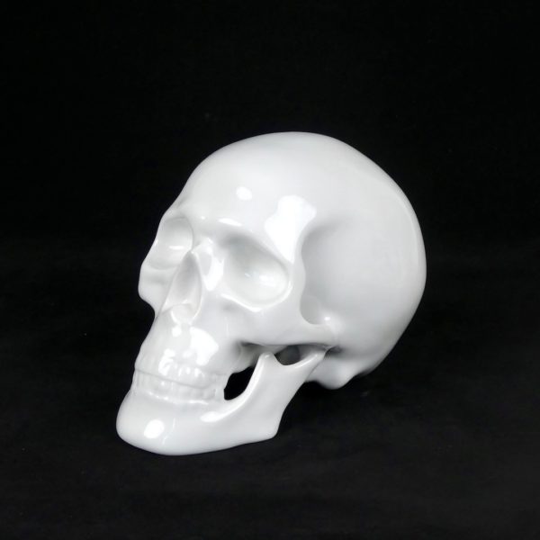 Crâne en porcelaine (3/4)