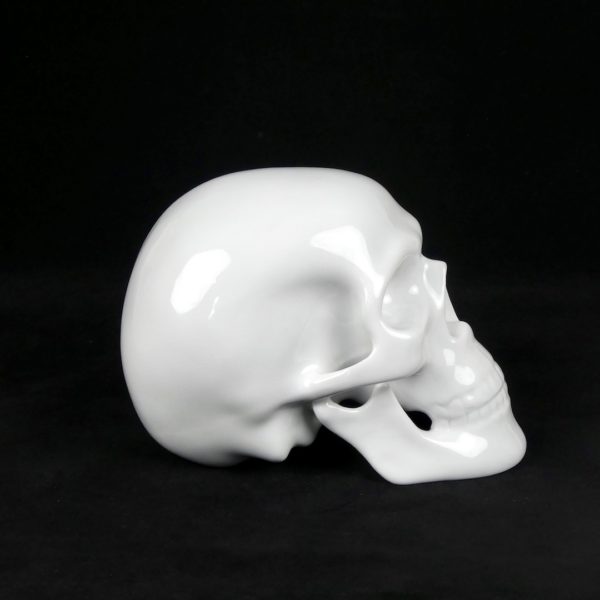 Crâne en porcelaine (profil)