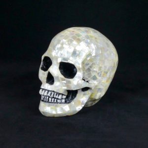 Crâne en nacre blanche (3/4)