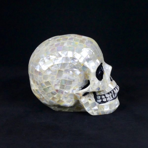 Crâne en nacre blanche (profil)