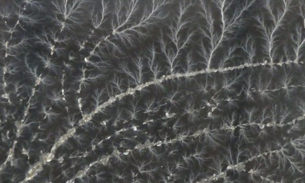 Impact de foudre (détail) 1