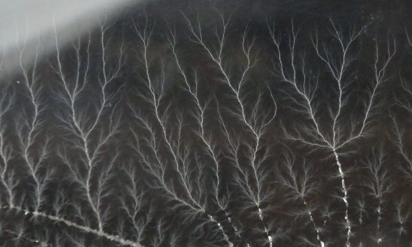 Impact de foudre (détail) 2