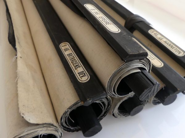 Affiches scolaires Dr. Auzoux