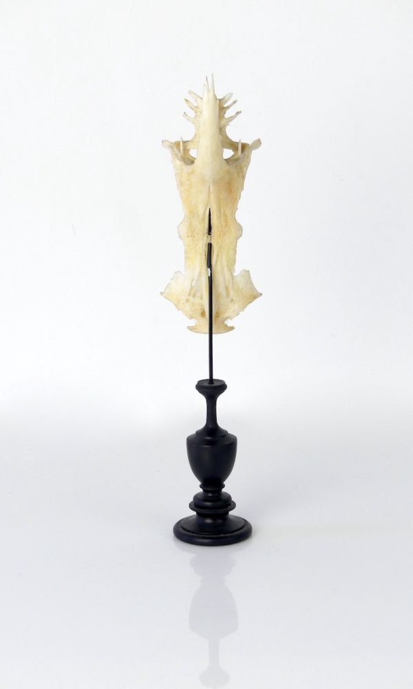 Poisson crucifix (dos)