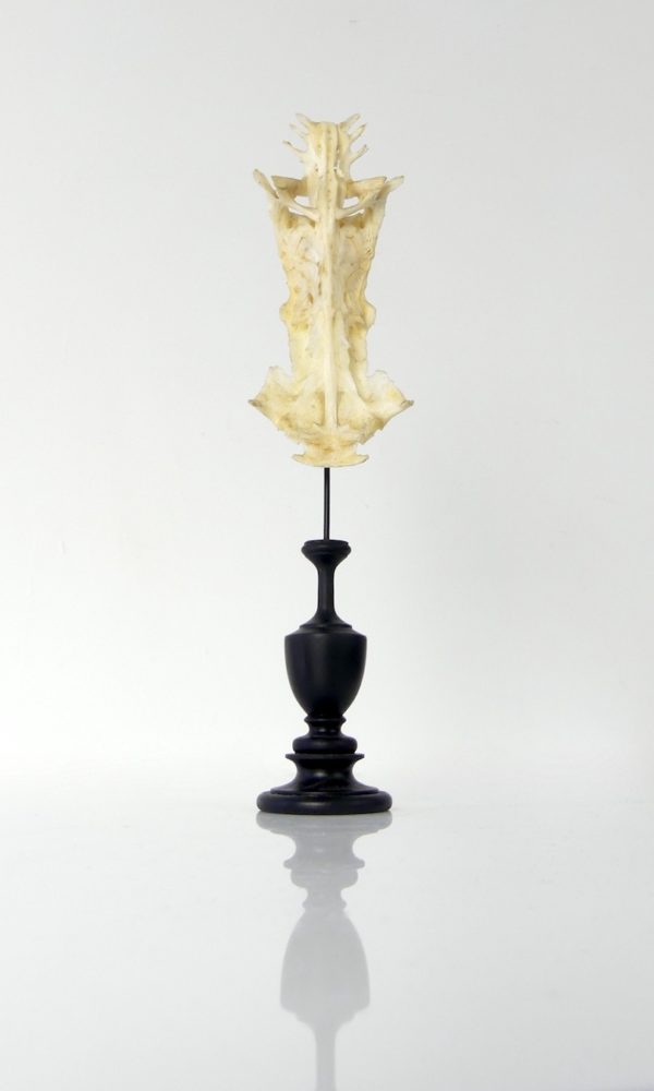 Poisson crucifix