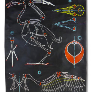 Affiche scolaire Le Pigeon