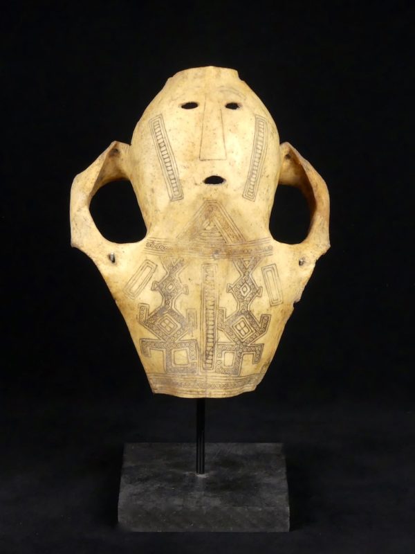 Crâne de buffle sculpté (face)