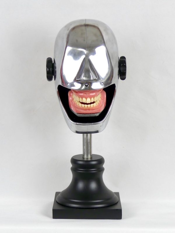 Crâne d’étude (face)