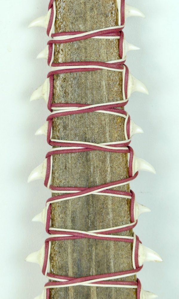 Grande épée Hawaïenne (détail)