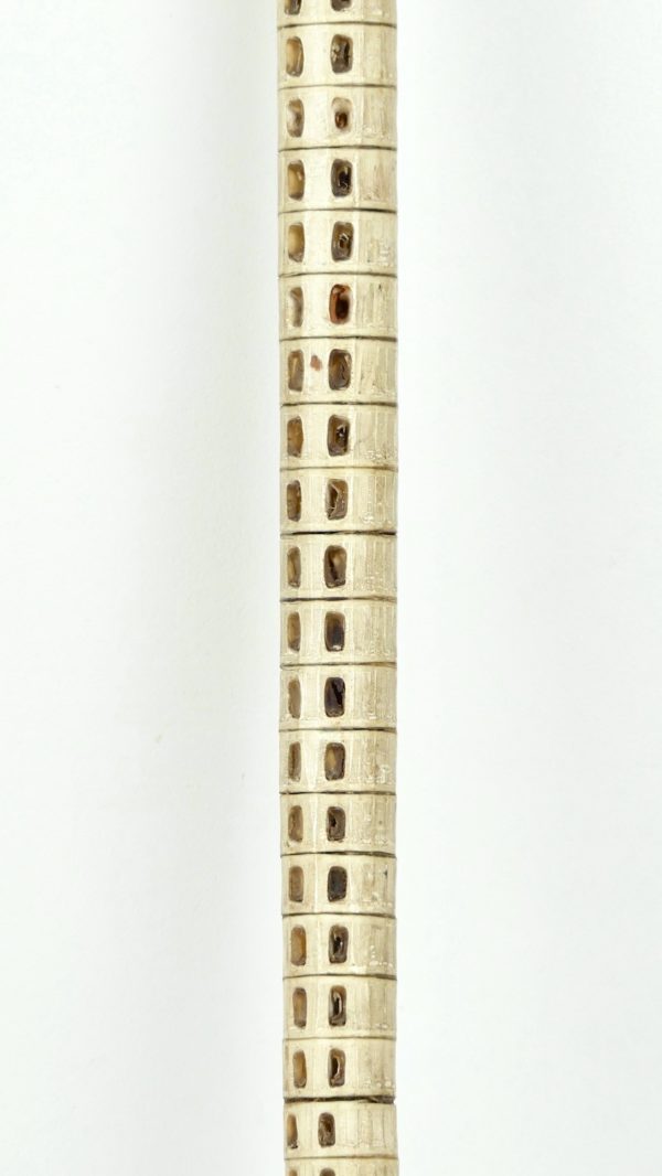 Canne en bois et vertèbres (détail)