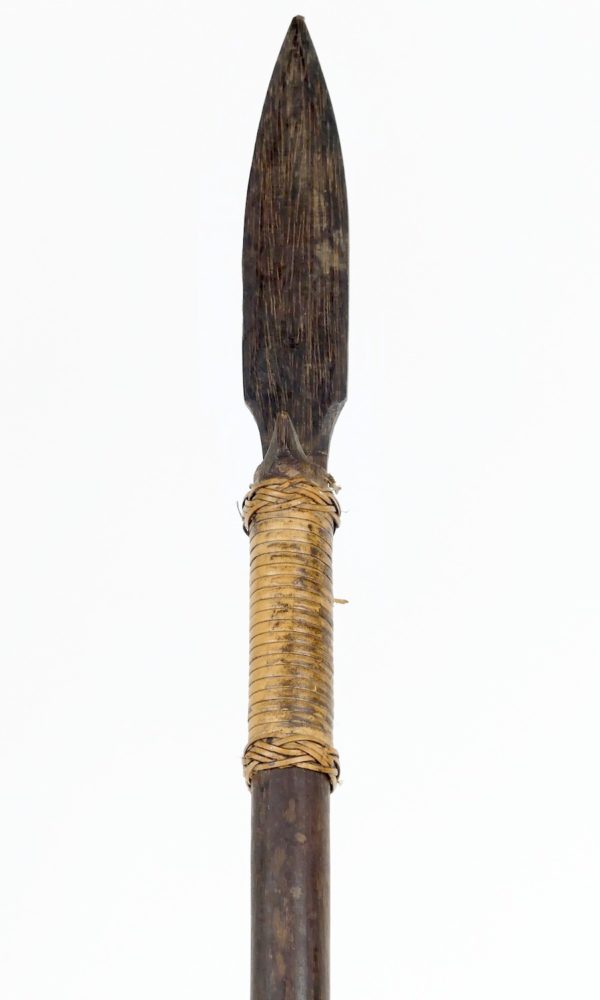 Sarbacane papou (détail pointe)