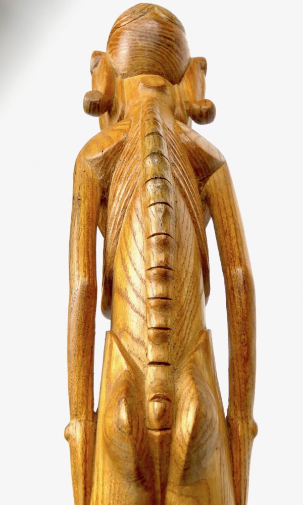 Moaï Kavakava (détail 4)
