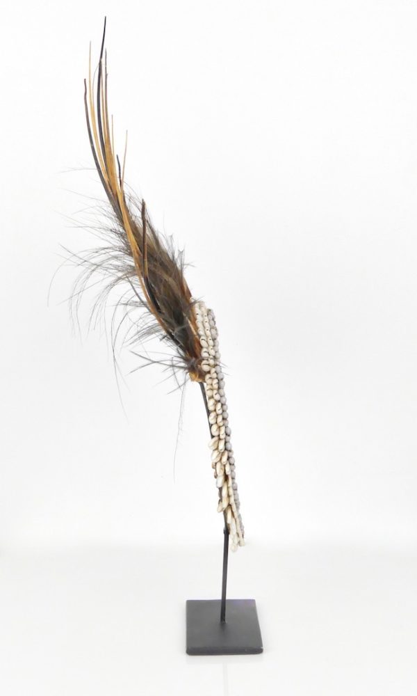 Collier à plumes papou (profil)