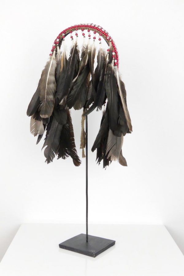 Coiffe à plumes papou (3/4)