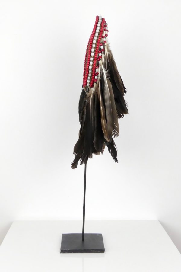 Coiffe à plumes papou (profil)