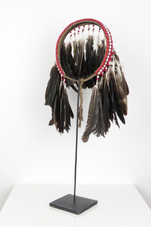 Coiffe à plumes papou (3/4-2)