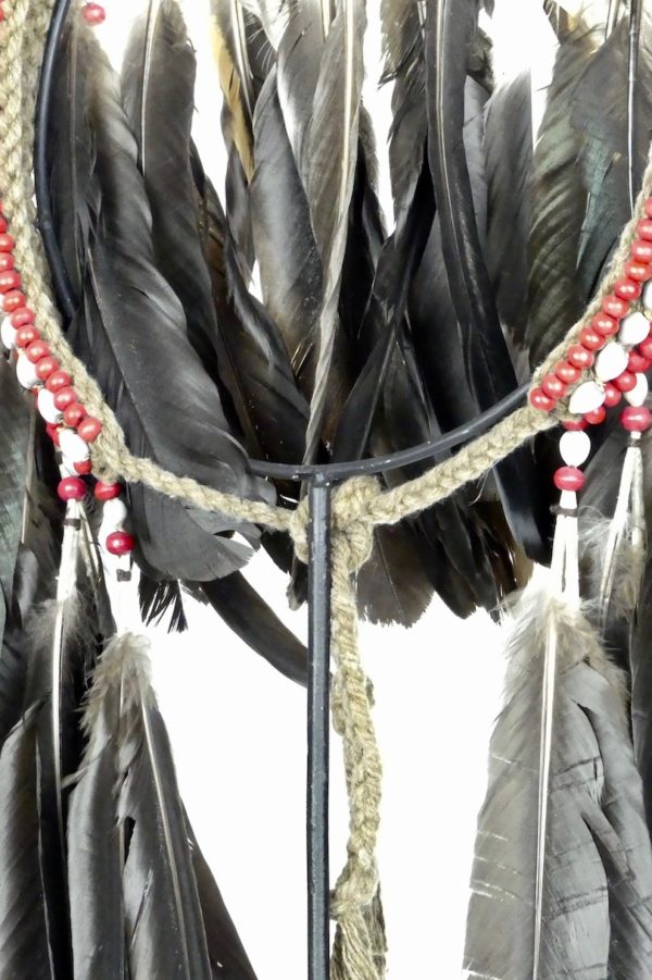 Coiffe à plumes papou (détail)