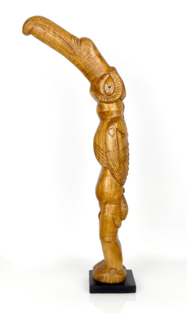 Tangata Manu Rapa Nui (profil)