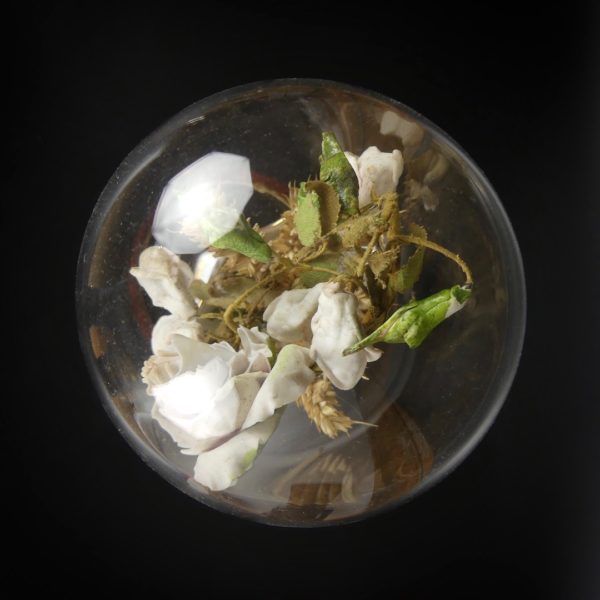 Globe de mariée (dessus)