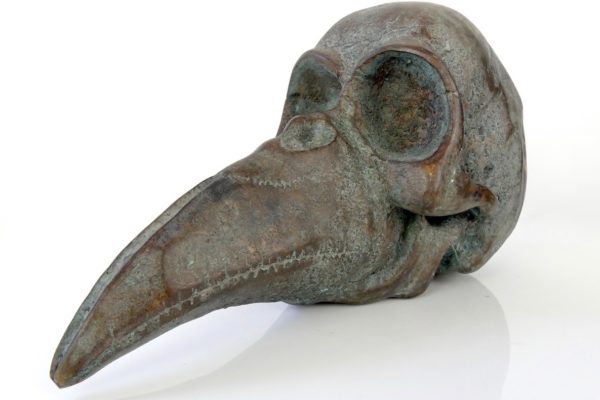 Sculpture crâne et bec en bronze – Image 6