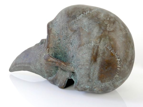 Sculpture crâne et bec en bronze – Image 8