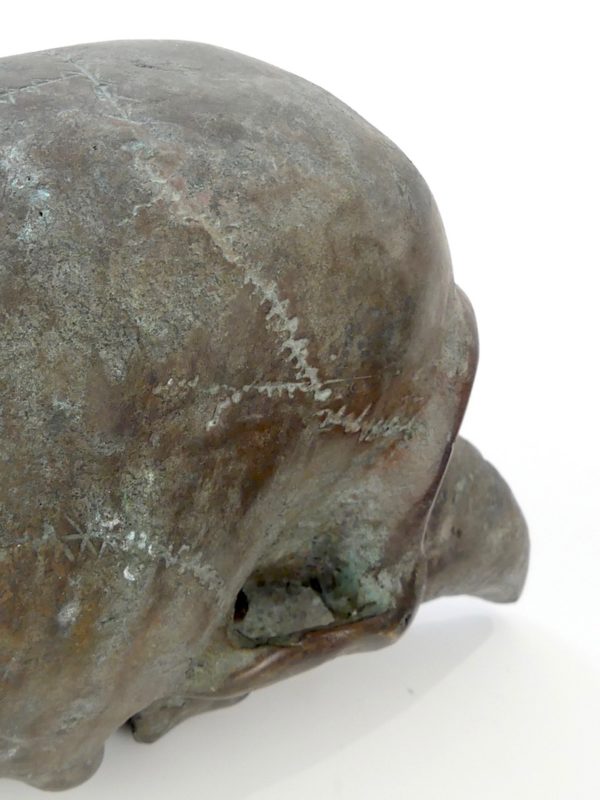 Sculpture crâne et bec en bronze – Image 9