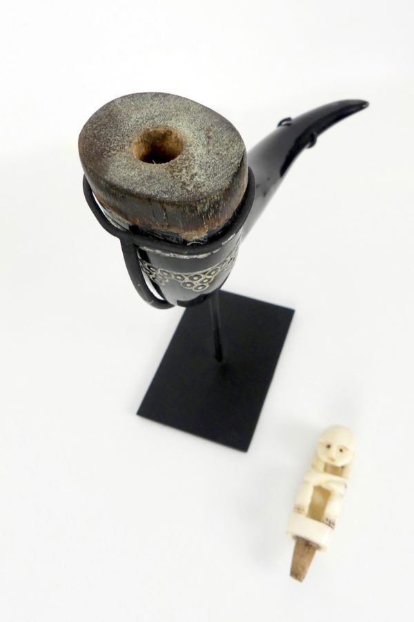 Petite corne de médecine (ouvert)
