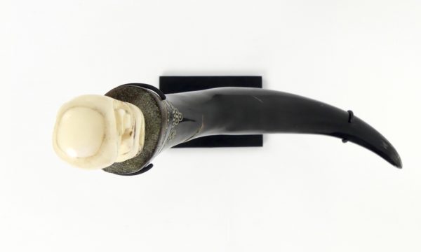 Petite corne de médecine (dessus)