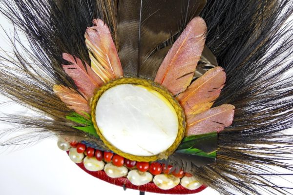 Coiffe de cérémonie Papou (détail)