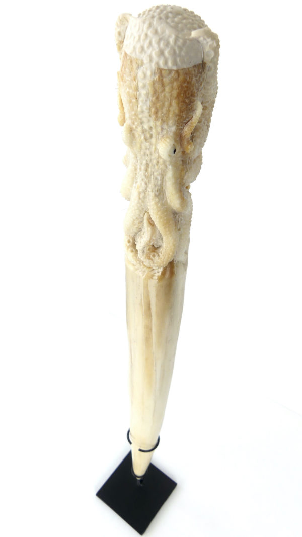 Pieuvre sculptée sur rostre de marlin (3/4 dessus)