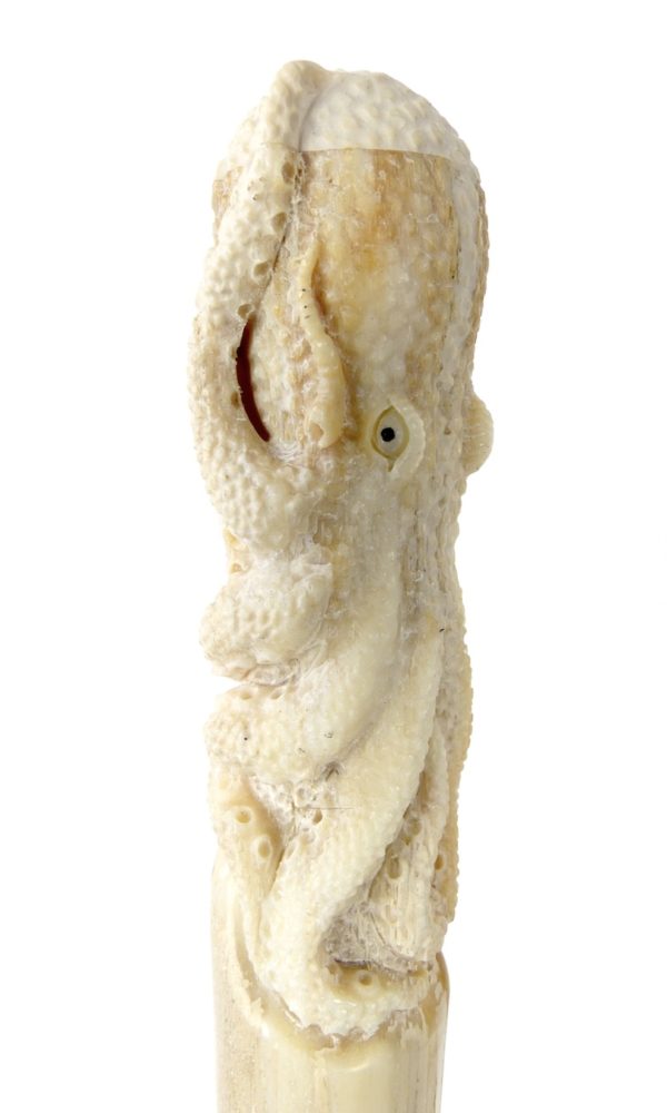 Pieuvre sculptée sur rostre de marlin (détail profil)