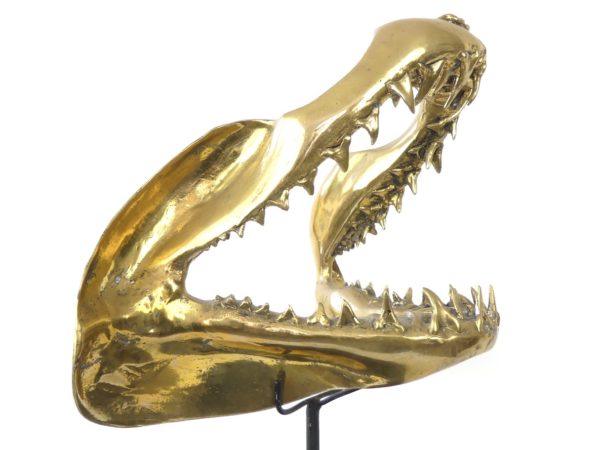 Grande mâchoire de requin mako en laiton