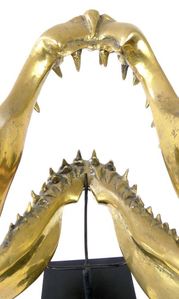 Grande mâchoire de requin mako en laiton – Image 7