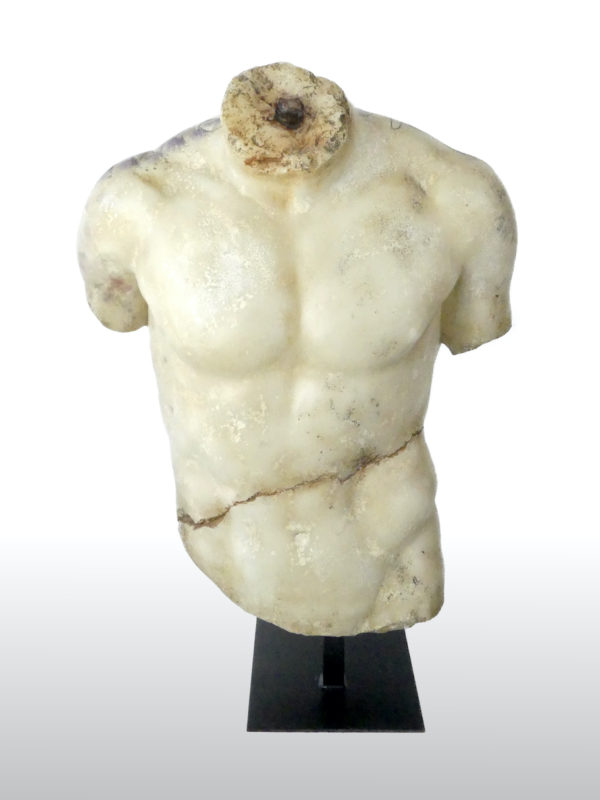 Torse d’Apollon tatoué (face)