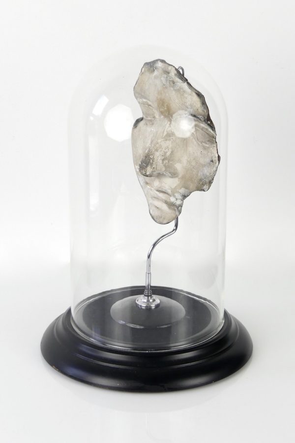 Fragment de visage en plâtre sous cloche (3/4)