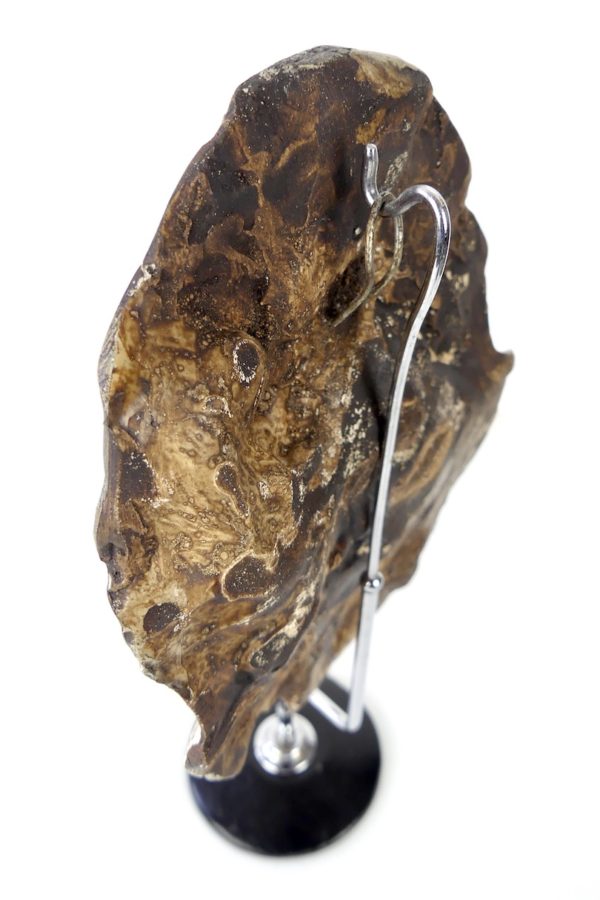 Fragment de visage en plâtre (3/4 dos)
